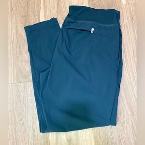 Womens Mountain Hardwear Dynama Ankle Pant Sz L